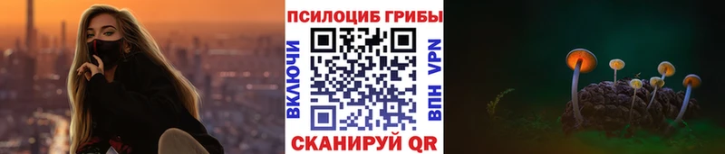 Псилоцибиновые грибы Psilocybe цена наркотик Ульяновск